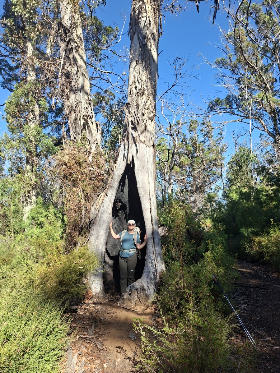 Franziska standing inside a hollow tree.