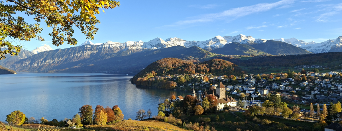 Drop Bears or Polar Bears? It's Safer in the Alps